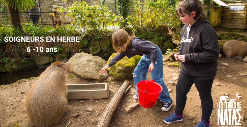 Soigneur en herbe pour les enfants de 6 à 10 ans au parc animalier Les Terres de Nataé à Pont-Scorff