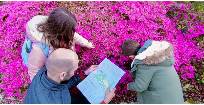 Parcours d'orientation "Gardez le cap : les rhododendrons", en famille au Domaine de Trévarez