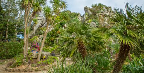 Le Jardin Exotique & Botanique de Roscoff : une belle découverte à partager en famille
